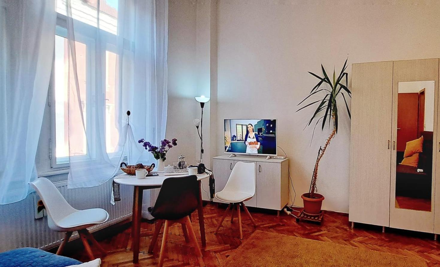 Travel And Music Apartment ทิมิชัวรา ภายนอก รูปภาพ